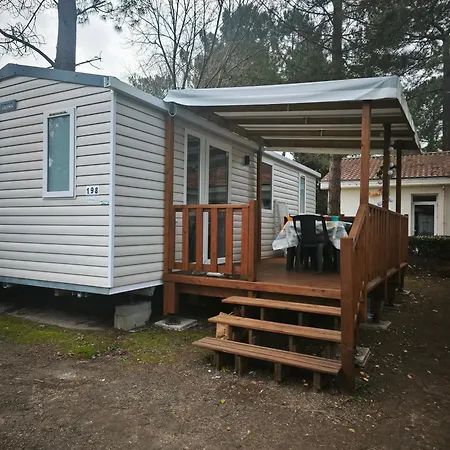 Jolie Mobil 2